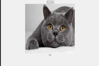 AnimalModel
