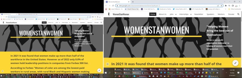 WomenStanWomen – screenshot 1