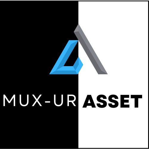 MUX-UR-ASEET – screenshot 1