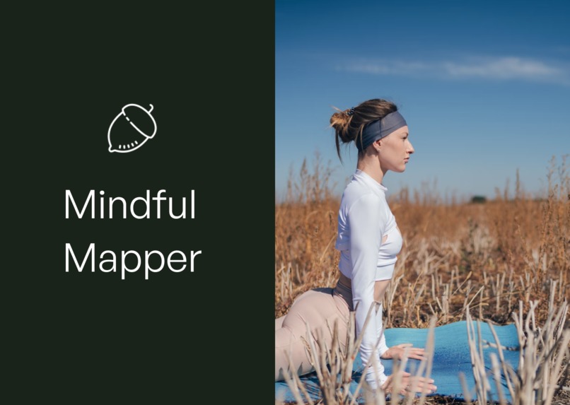 MindfulMapper – screenshot 1