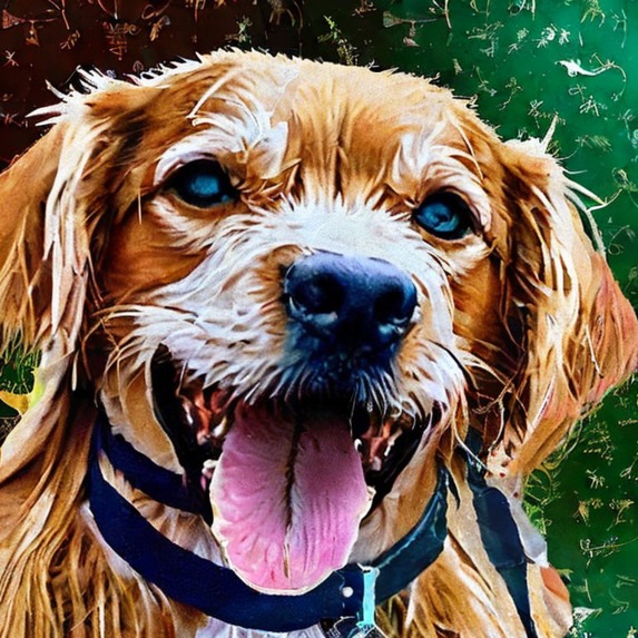 Pets and Paint – screenshot 3