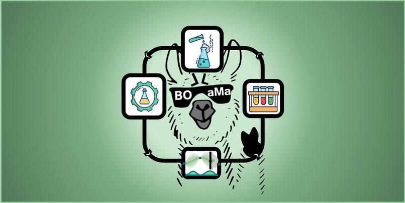 BOLLaMa – screenshot 1