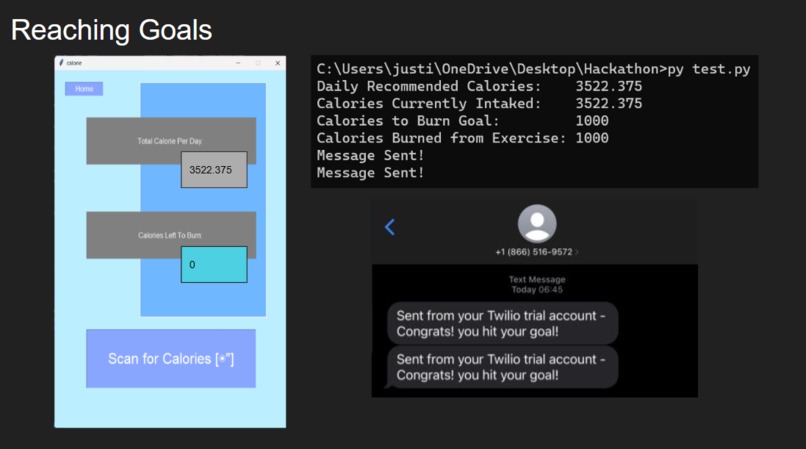 Pocket Trainer – screenshot 5