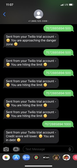 Credit Pro – screenshot 7