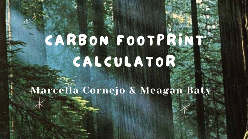 Carbon Footprint Calculator – screenshot 1