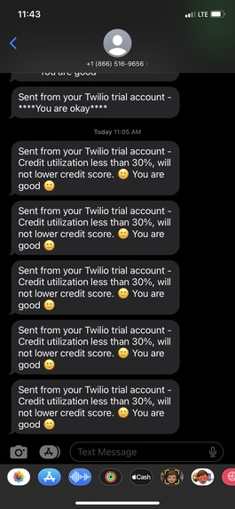 Credit Pro – screenshot 8