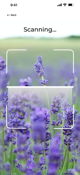 Hike and Seek – screenshot 11