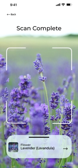 Hike and Seek – screenshot 12
