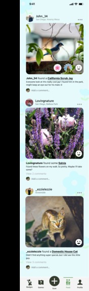 Hike and Seek – screenshot 2