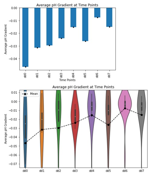 BlueRose Team - Challenge 0 – screenshot 6