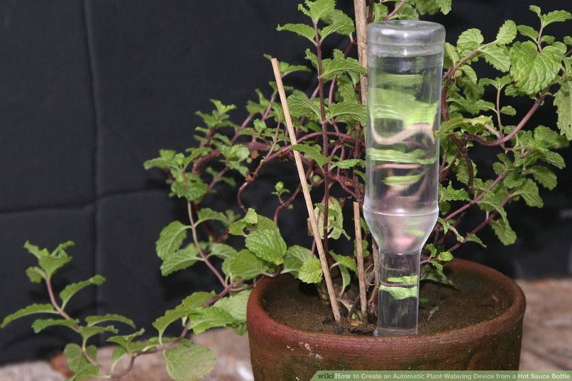 Plant Watering System – screenshot 1