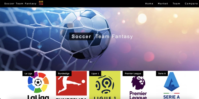 Soccer Team Fantasy – screenshot 1