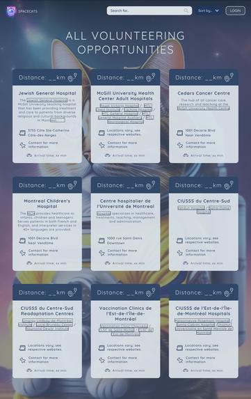 BEGINNER | Mari Volunteering Network – screenshot 2