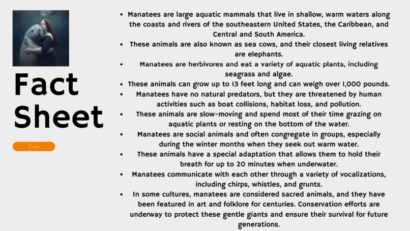 Protect Our Wildlife - Blockchain Lab University of Florida – screenshot 22