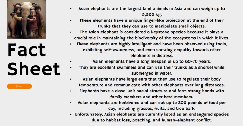 Protect Our Wildlife - Blockchain Lab University of Florida – screenshot 20