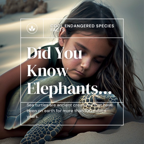 Protect Our Wildlife - Blockchain Lab University of Florida – screenshot 30