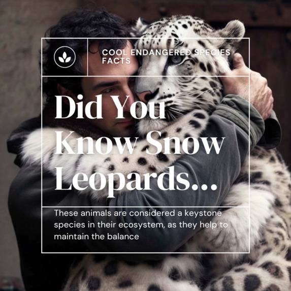Protect Our Wildlife - Blockchain Lab University of Florida – screenshot 32