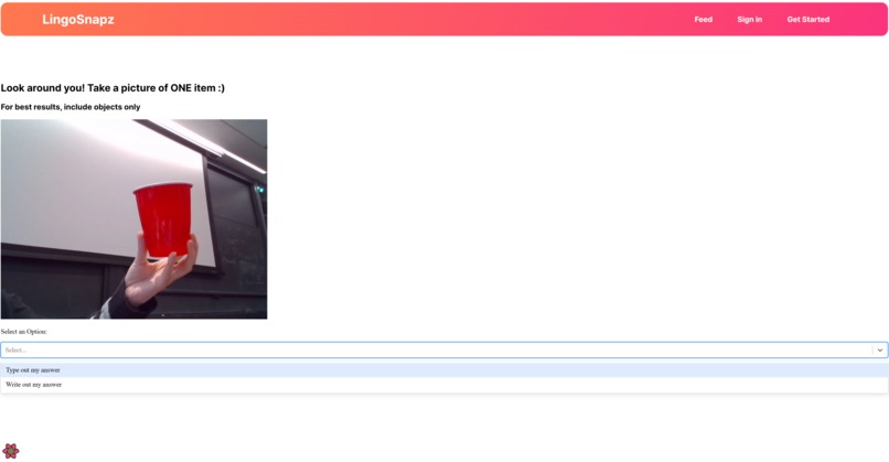 LingoSnapz – screenshot 4