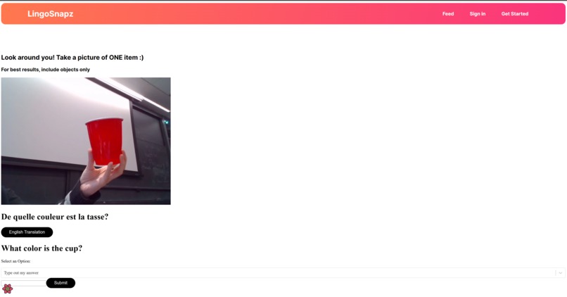 LingoSnapz – screenshot 5