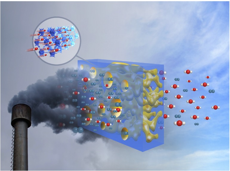 Carbon Captivation: Dynamic Molecular Simulation of Membrane – screenshot 1