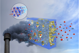 Carbon Captivation: Dynamic Molecular Simulation of Membrane