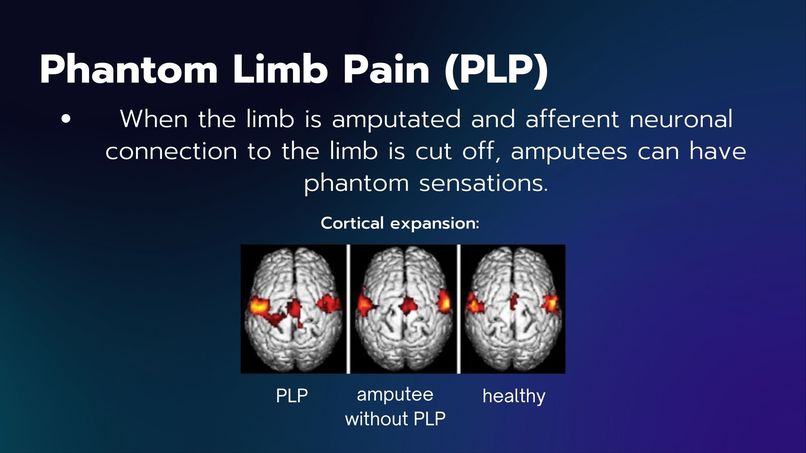 PhantomVR – screenshot 3