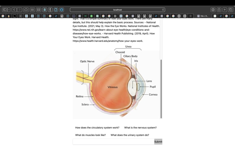 Med-Terms – screenshot 1