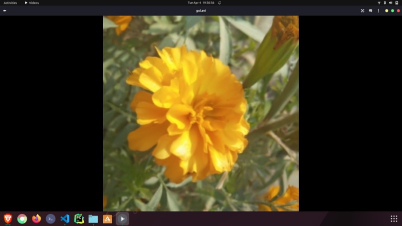 SpotifyDalli – screenshot 1