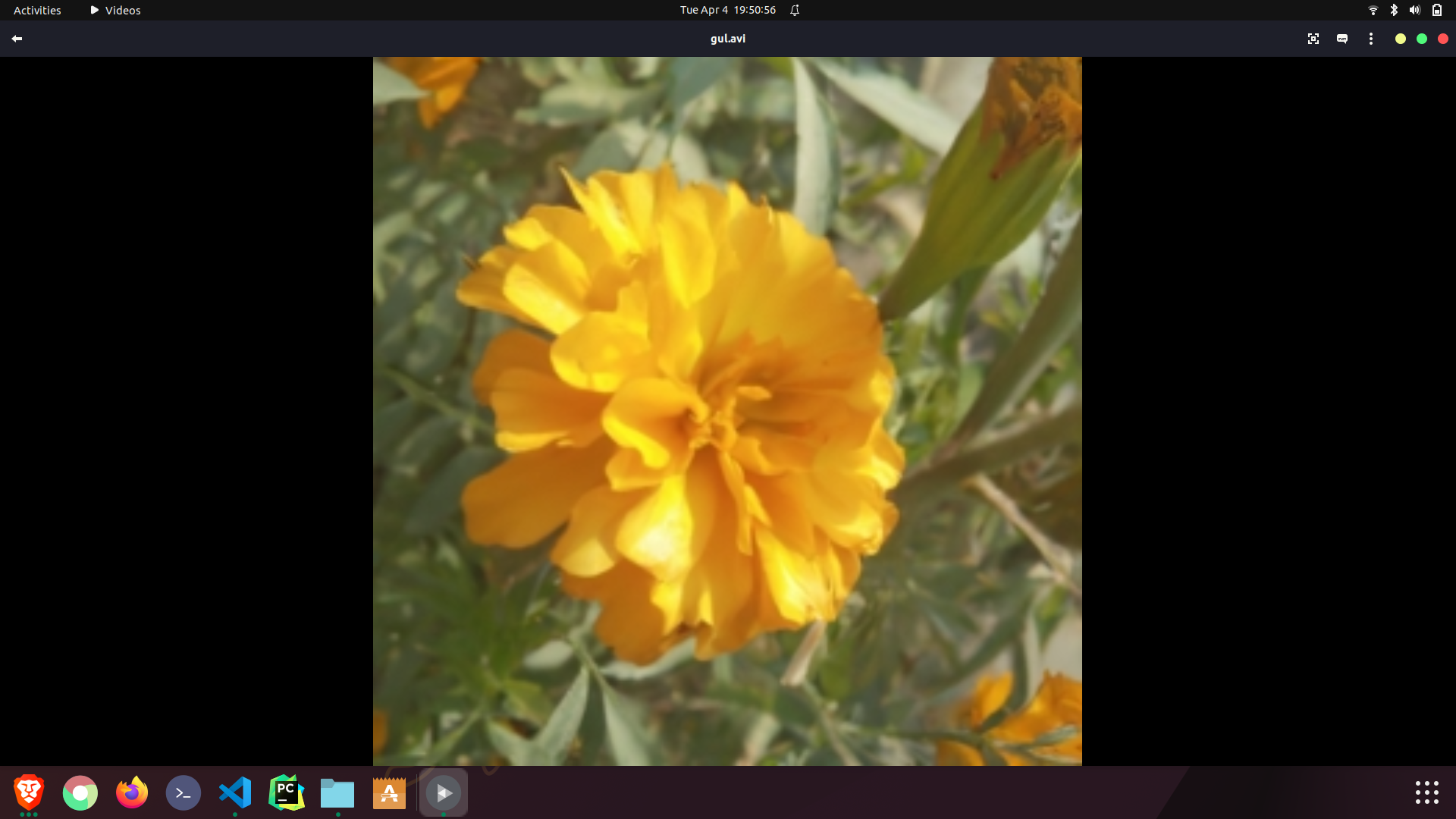SpotifyDalli Devpost