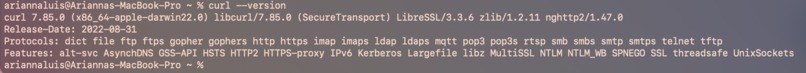 Day 1: Twilio CLI and Curl – screenshot 1