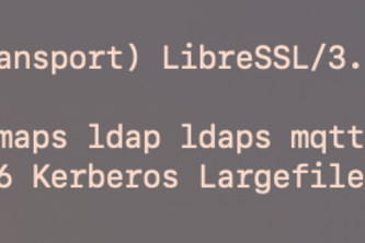 Day 1: Twilio CLI and Curl