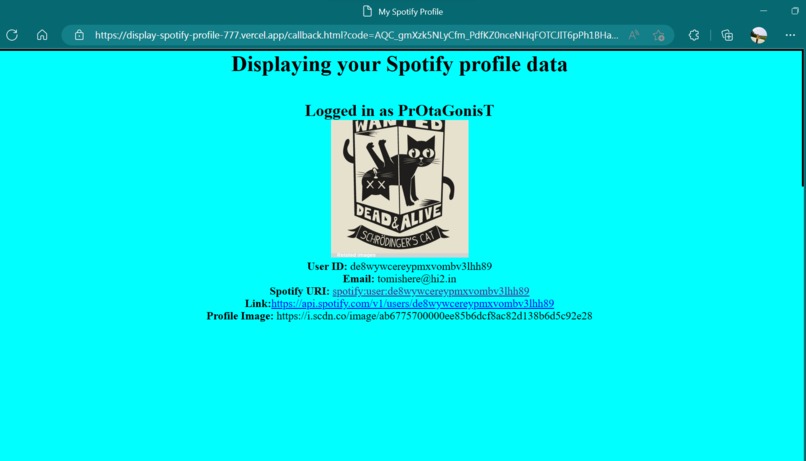 Spotify Web API – screenshot 1