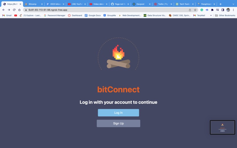 BitConnect – screenshot 2