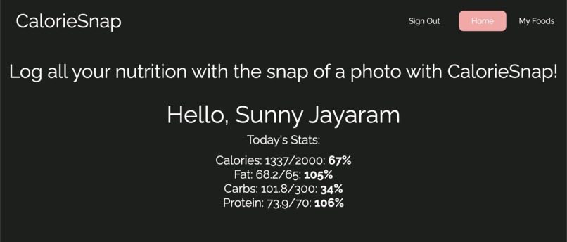 CalorieSnap – screenshot 1