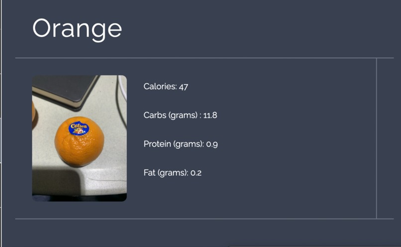 CalorieSnap – screenshot 2