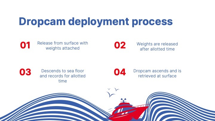 Team 12 - Deep Sea Dropcam – screenshot 5