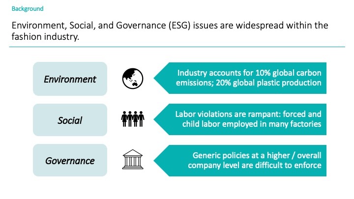 Team 10: EcoScore – screenshot 2