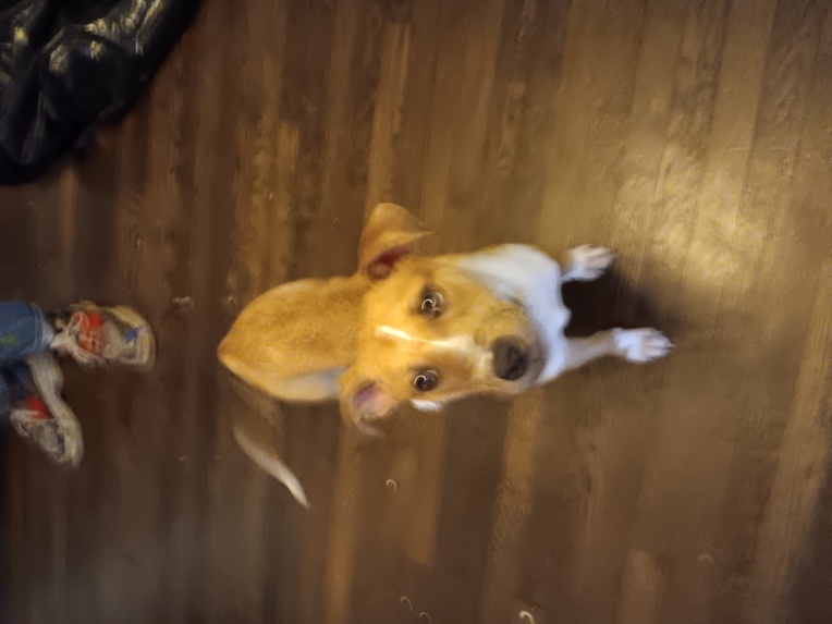 Plan My Move – screenshot 1