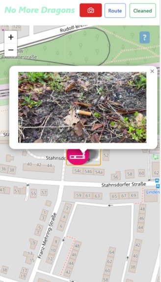 No more dragons – screenshot 1