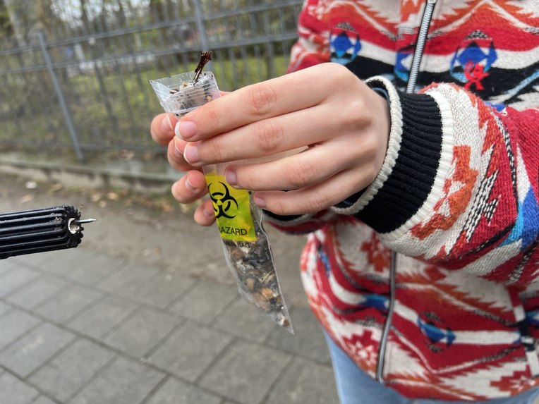 No more dragons – screenshot 5