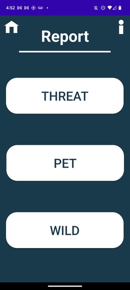 Stray – screenshot 4