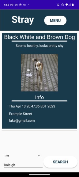 Stray – screenshot 1