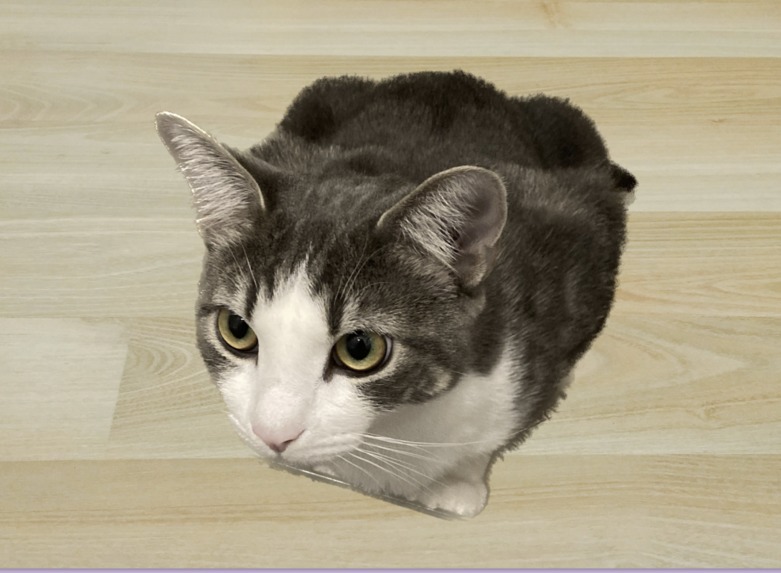 FeelineWell – screenshot 1