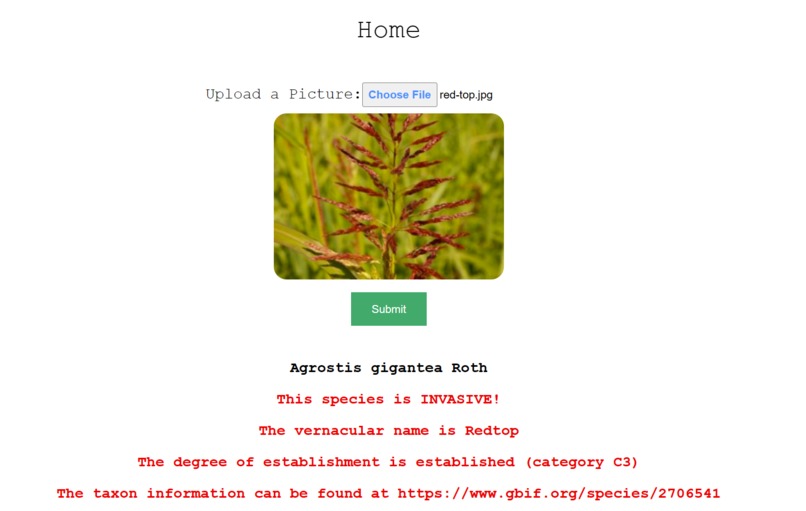 Forage – screenshot 2