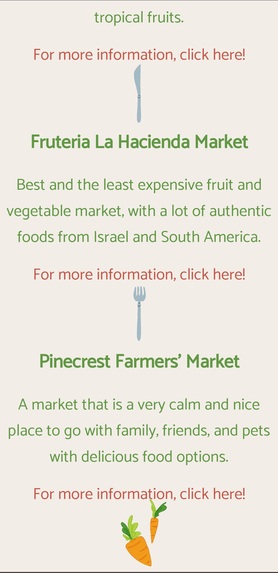 Our Roots – screenshot 4