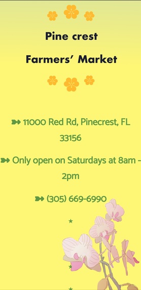 Our Roots – screenshot 9