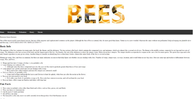 A Bee-autiful Site – screenshot 1