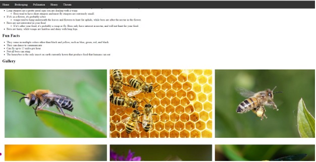 A Bee-autiful Site – screenshot 2