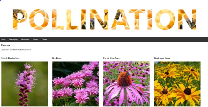 A Bee-autiful Site – screenshot 3