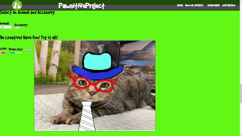 Pawsitive Project – screenshot 1